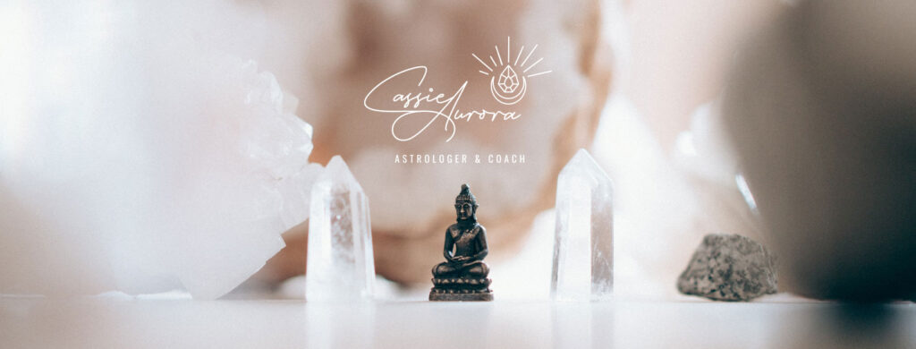wellness business branding and logo design