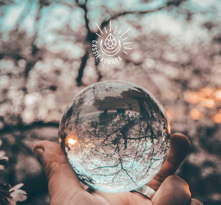 wellness business branding and logo design